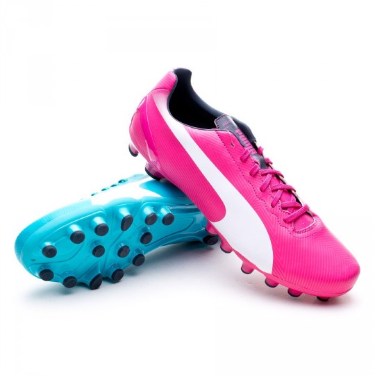 puma evospeed 4.2