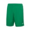 Joma Nobelprijs Shorts