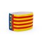 Mercury Valencian Community Captain's Armband