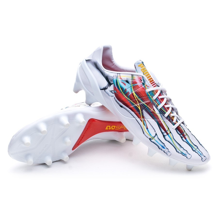 botas puma evospeed