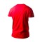 Camiseta Roly Dogo Premium