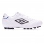 Speciali Eternal Club AG White-Black-Clematis blue