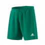 Parma 16 Bold Green
