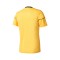 adidas Squadra 17 m/c Trikot