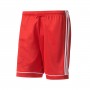 Squadra 17 Rouge-Blanc