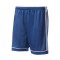 Short adidas Squadra 17