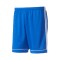 adidas Squadra 17 Shorts