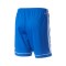 Pantaloncini adidas Squadra 17