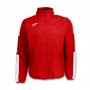 Champion IV Rosso-Bianco