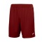 Joma Nobel Shorts