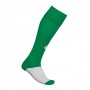 Logo Green-White