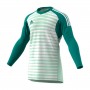 AdiPro 18 Goalkeeper Longsleeve Aero green-White