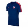 Atlético de Madrid Squad 2018-2019 Deep royal blue-Bright crimson