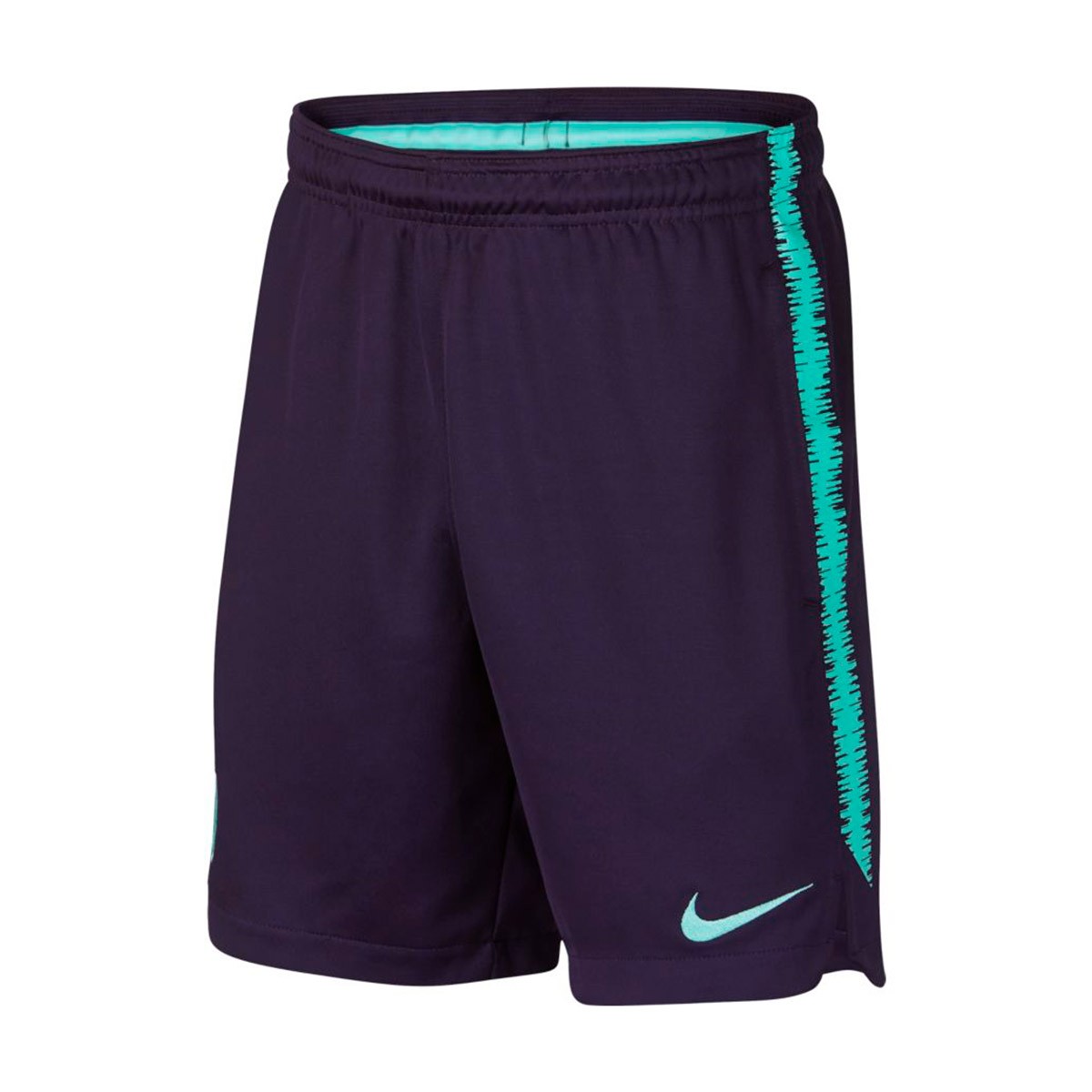 purple and turquoise nike shorts