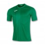 Tiger m/c Green