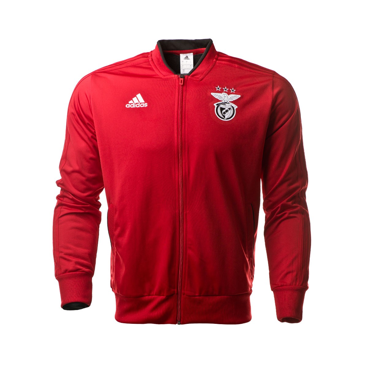 tuta calcio SL Benfica Uomo tuta calcio SL Benfica Uomo