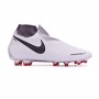 Phantom Vision Pro DF FG Pure platinum-Black-Light crimson-Dark grey