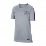 FC Barcelona Squad 2018-2019 Niño Wolf grey-Purple dynasty