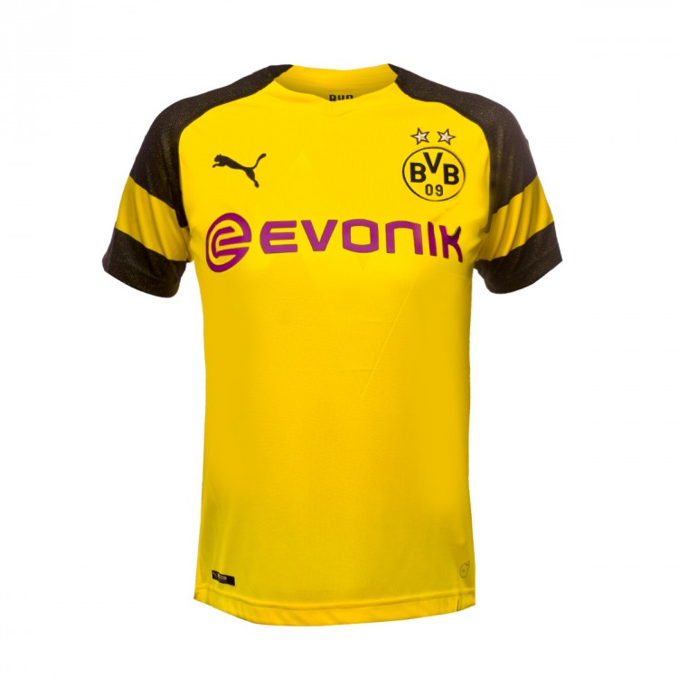 evonik t shirt
