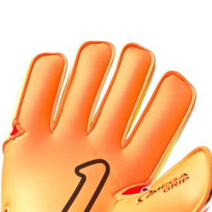PALM-0