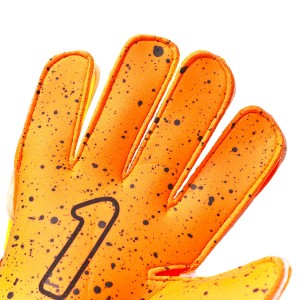 PALM-0
