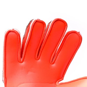 PALM-0