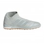 Nemeziz Tango 18+ IN Ash silver-White tint