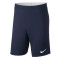 Nike Kinderen Academie 18 Knit Shorts