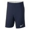 Pantalón corto Nike Academy 18 Knit Niño