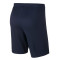 Nike Kinderen Academie 18 Knit Shorts