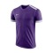 Camiseta Nike Park Derby II m/c Niño