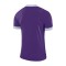 Maillot Nike Park Derby II m/c Niño