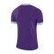 Camisola Nike Park Derby II m/c