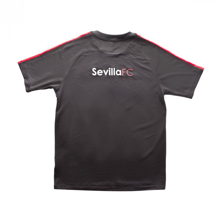 camiseta-nike-sevilla-fc-training-2018-2019-nino-grey-2.jpg