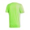 Camiseta Entrada 18 m/c Solar Green-White