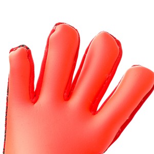 PALM-0