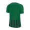 Camiseta Striped Division III m/c Pine green-Black