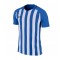 Maillot Nike Striped Division III m/c