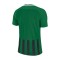 Camiseta Striped Division III m/c Niño Pine green-Black