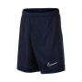 Dri-FIT Academy Niño Obsidian-White