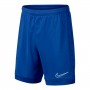 Dri-FIT Academy Niño Game royal-White