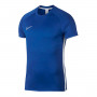 Dri-FIT Academy Game royal-White