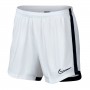 Dri-FIT Academy White-Black
