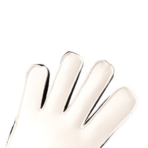 PALM-0