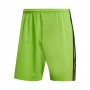 Condivo 18 Semi solar green-Black