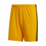 Condivo 18 Collegiate gold-Black