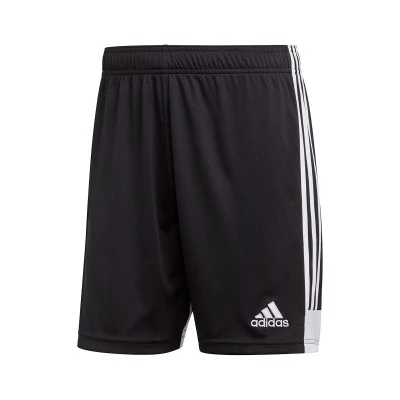 Tastigo 19 Shorts