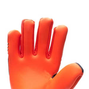 PALM-0