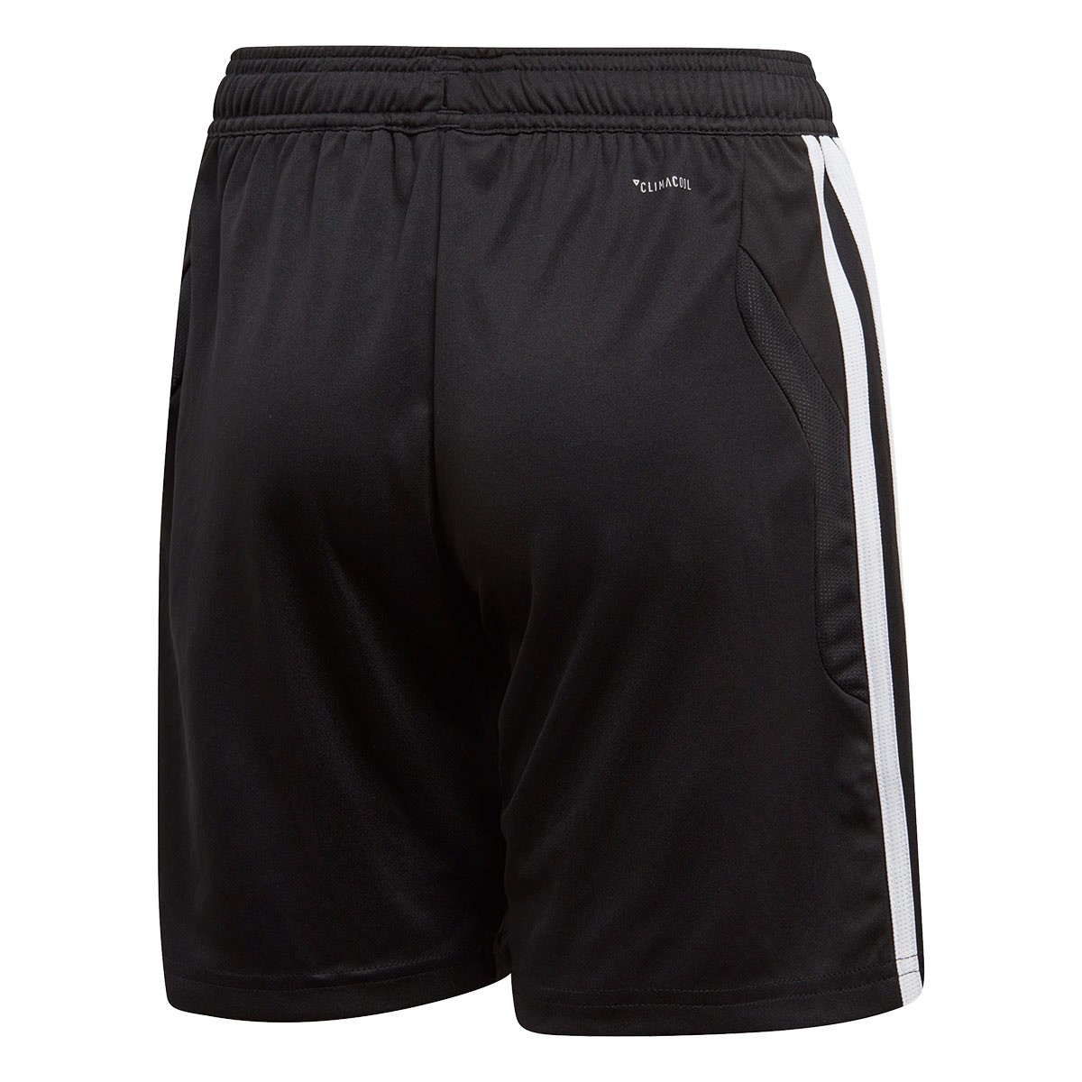 tiro 19 training shorts