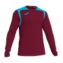 Championship V m/l Burdeos-Celeste